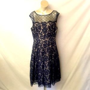 Eliza J. Navy Blue Lace Cocktail Dress